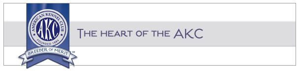 American Kennel Club Breeder of Merit banner