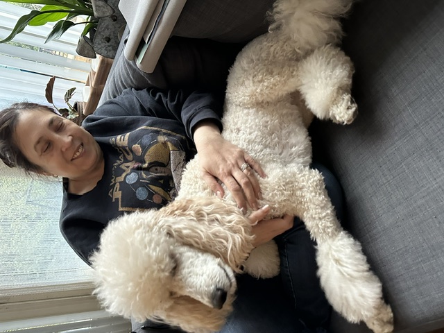 Mirabelle cuddling with a member of the Wong Family on a sofa